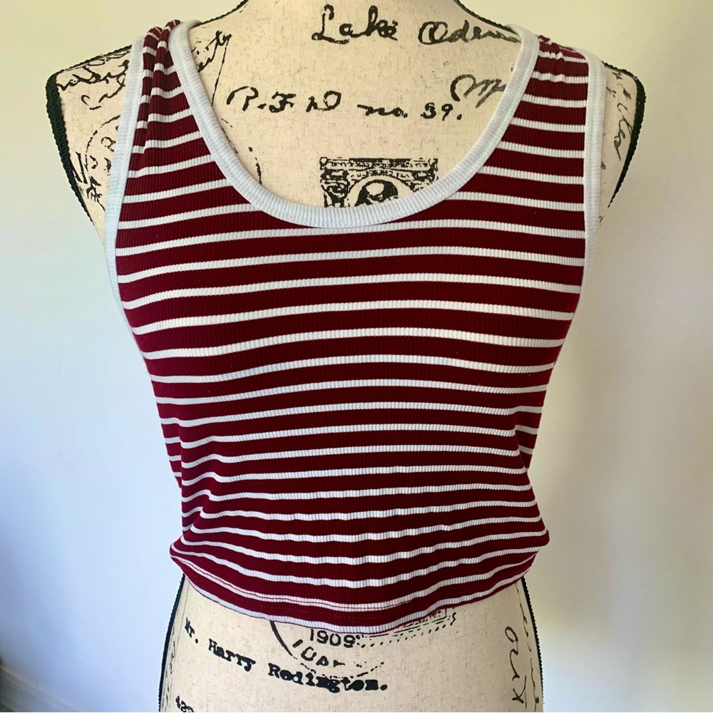Juniors Large Maroon and White Striped Crop Top